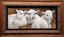 Load image into Gallery viewer, Three of a Kind - Lambs Original by Jerry Gadamus