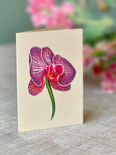 Load image into Gallery viewer, Fresh Cut Orchid Oasis