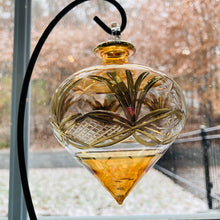 Load image into Gallery viewer, Dandarah (Ships from USA) - Blown Glass Ornament - Drop Amber