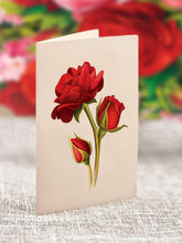 Load image into Gallery viewer, Fresh Cut Mini Blooming Roses