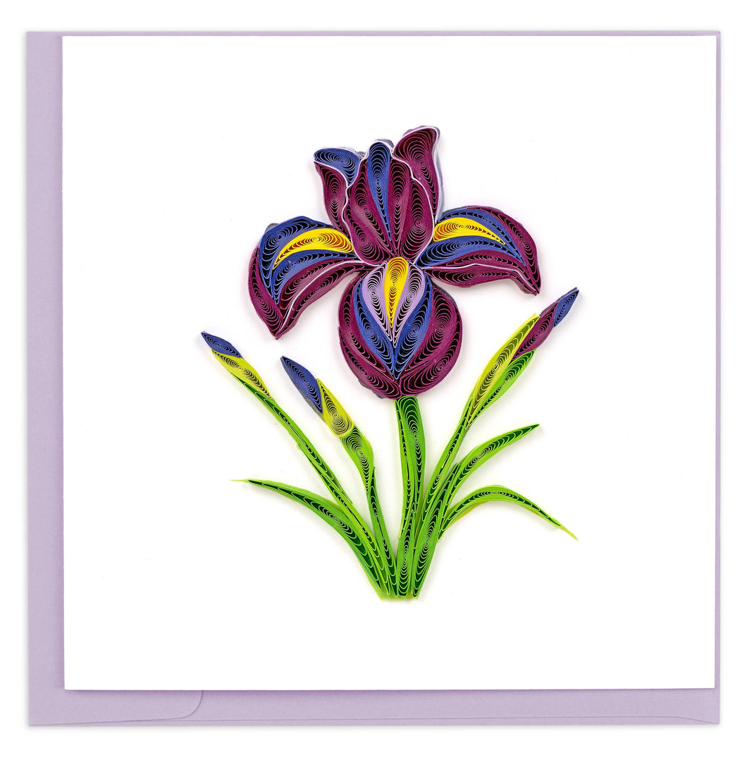 Quilling Card - Quilled Iris Greeting Card