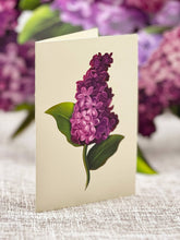 Load image into Gallery viewer, Fresh Cut Garden Lilacs