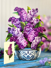 Load image into Gallery viewer, Fresh Cut Garden Lilacs