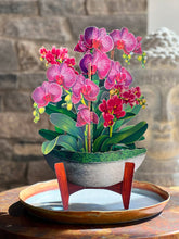 Load image into Gallery viewer, Fresh Cut Orchid Oasis