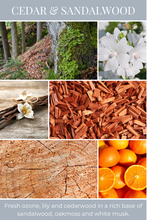 Load image into Gallery viewer, Eco Candle Company - 6oz eco candle CEDAR &amp; SANDALWOOD *NEW!