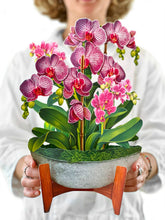 Load image into Gallery viewer, Fresh Cut Orchid Oasis