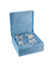 Load image into Gallery viewer, Baby&#39;s 1st Bx Set Bl NB0017B