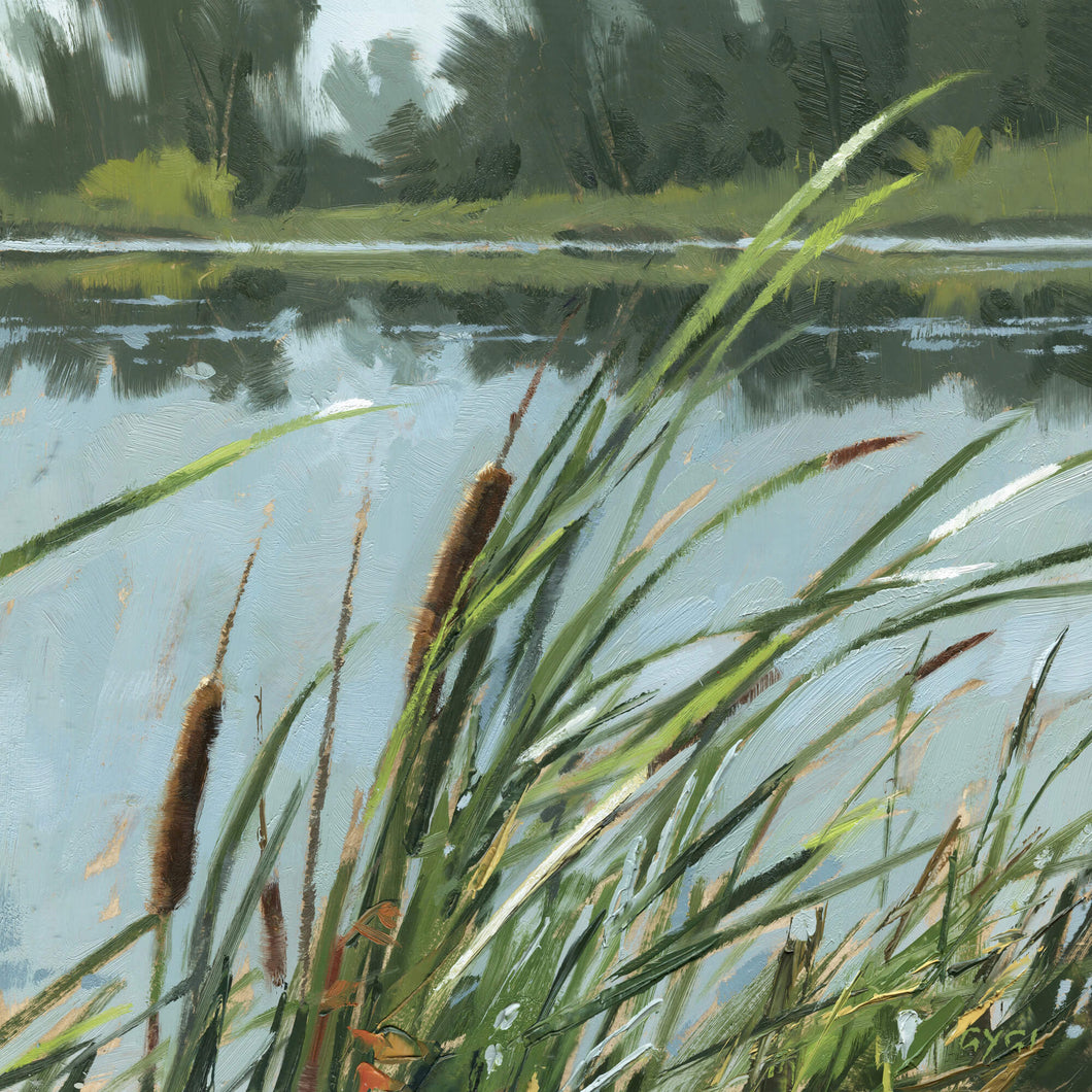 Cattails Giclee Canvas Artwork by Darren Gygi