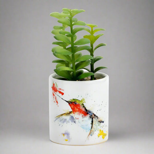 DC Hummer & Flower Succulent