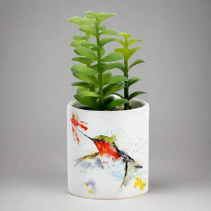 succulents dc DC Hummer & Flower Succulent – Koertens