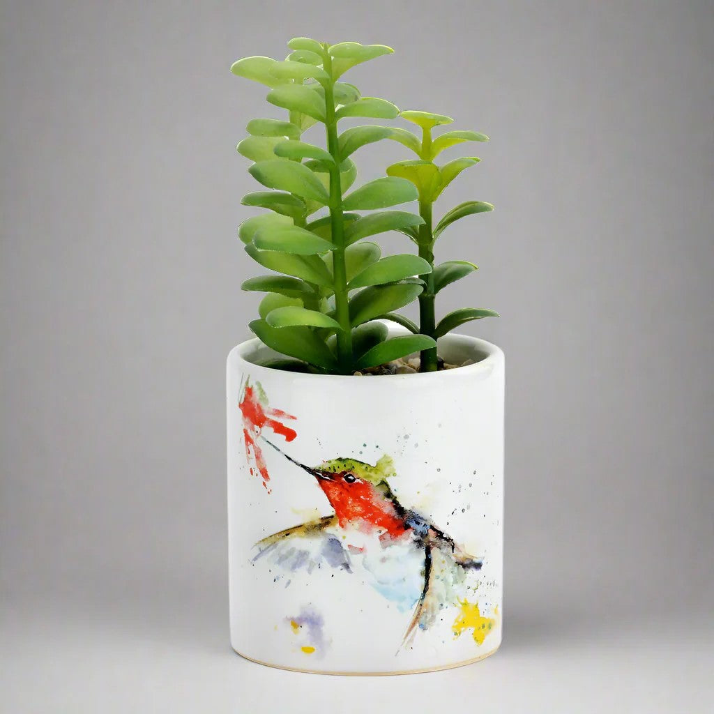 DC Hummer & Flower Succulent