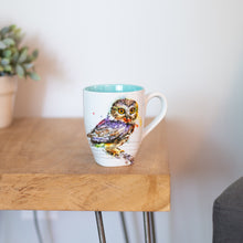 Load image into Gallery viewer, DC Saw Whet Owl Mug