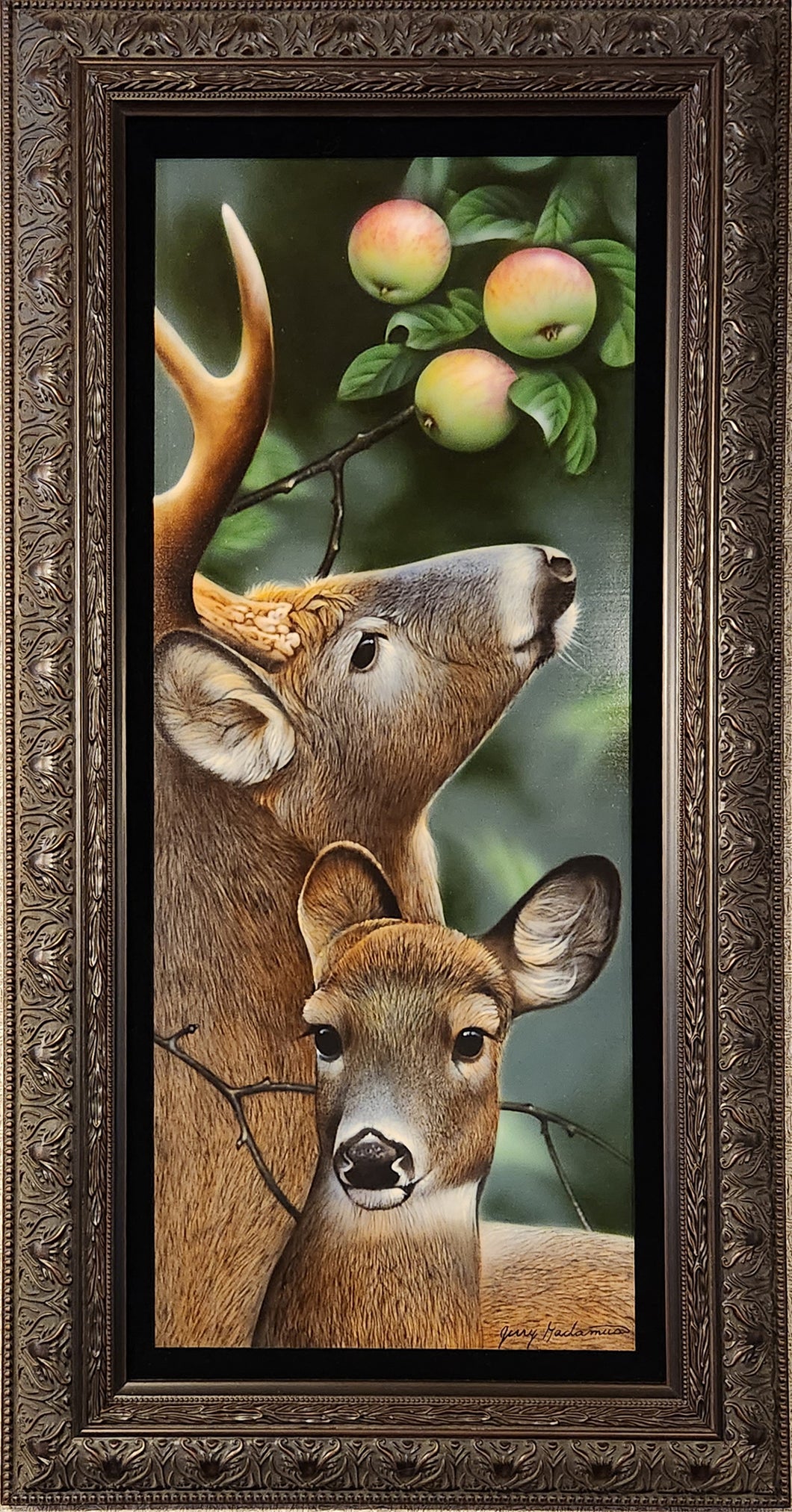 Apple of My Eye - Two Whitetail Original by Jerry Gadamus