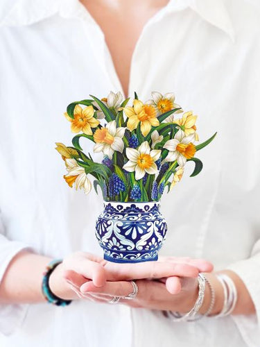 Fresh Cut Mini English Daffodil