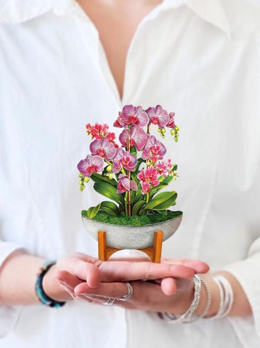 Fresh Cut Mini Orchid Oasis