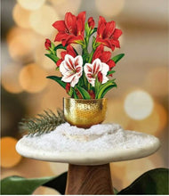 Load image into Gallery viewer, Fresh Cut Mini Scarlet Amaryllis