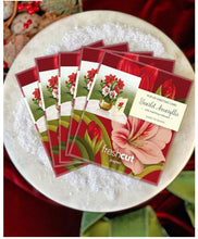 Load image into Gallery viewer, Fresh Cut Mini Scarlet Amaryllis