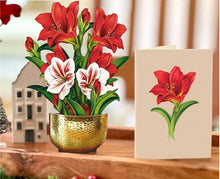 Load image into Gallery viewer, Fresh Cut Mini Scarlet Amaryllis