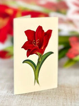 Load image into Gallery viewer, Fresh Cut Scarlet Amaryllis