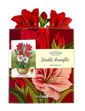 Load image into Gallery viewer, Fresh Cut Scarlet Amaryllis
