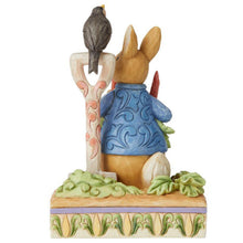 Load image into Gallery viewer, JS Peter Rabbit in Garden