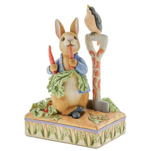 Load image into Gallery viewer, JS Peter Rabbit in Garden