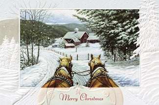 Jingle All The Way Boxed Cards