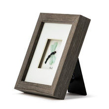 Load image into Gallery viewer, Of Life and Dragonflies Wall Art