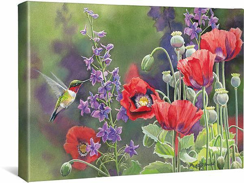 Poppies - Hummingbird Canvas Art Print by Susan Bourdet