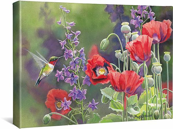 Poppies - Hummingbird Canvas Art Print by Susan Bourdet
