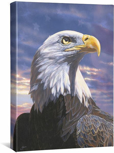Pride - Bald Eagle Canvas by Scot Storm