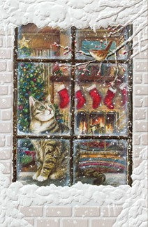 Window Watcher Boxed Cards