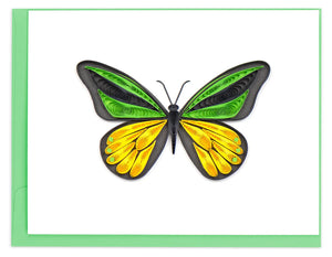 Quilling Card - Note Card Box Set- Butterflies 2