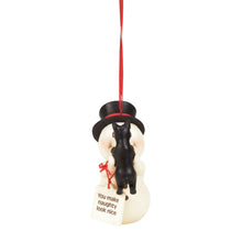 Load image into Gallery viewer, Snowpinions You Make Naughty Look Nice Ornament