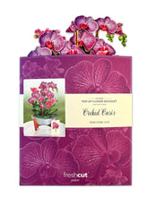 Load image into Gallery viewer, Fresh Cut Orchid Oasis