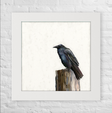 Load image into Gallery viewer, Cathy Walters Art - Raven on Cream Happy Square™