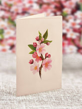 Load image into Gallery viewer, Fresh Cut Japanese Cherry Blossoms