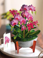 Load image into Gallery viewer, Fresh Cut Orchid Oasis