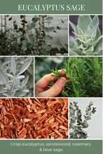 Load image into Gallery viewer, Eco Candle Company - 6oz eco candle EUCALYPTUS SAGE