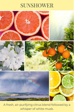 Load image into Gallery viewer, Eco Candle Company - 8oz mason SUNSHOWER 