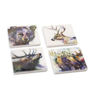 DC Wildlife Coaster Set