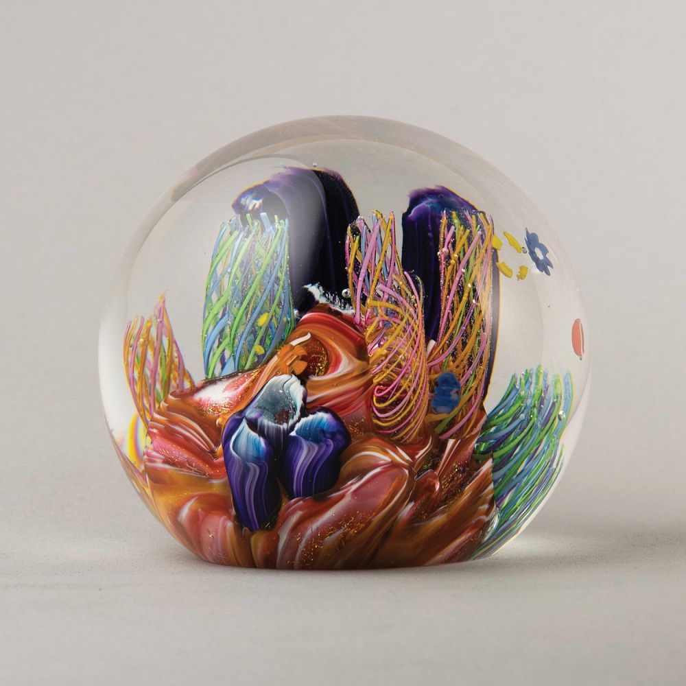 Paperweight Carribean Reef