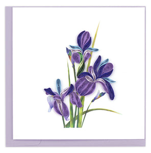 Quilling Card - Iris