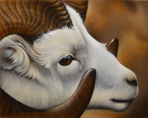 Big Horn Sheep Original by Jerry Gadamus