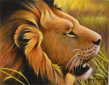 Load image into Gallery viewer, Savannah Sun - Lion Original by Jerry Gadamus