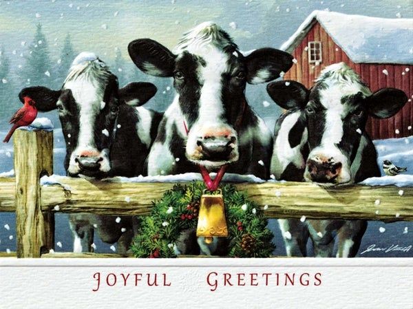 Holstein Hello Boxed Cards