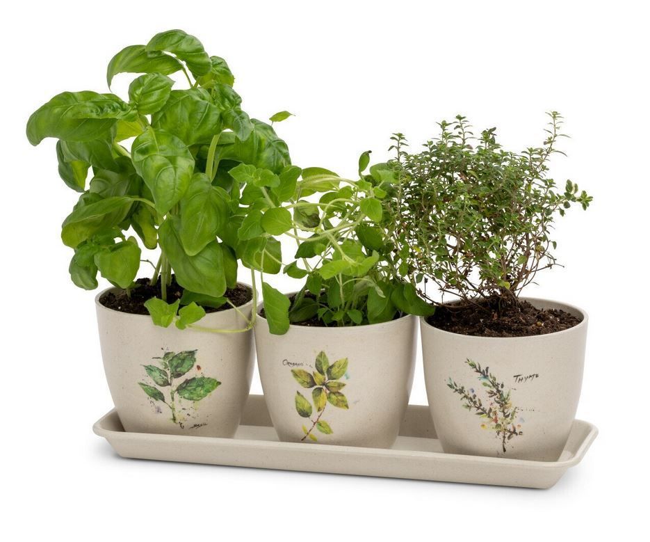 indoor windowsill herb planter DC Herb Planter Set – Koertens