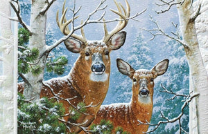 Whitetail Winter Boxed Cards