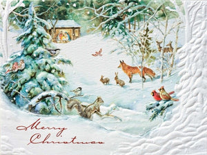 Christmas Miracle Boxed Cards