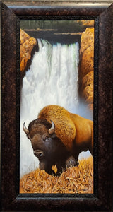Buffalo Falls Original by Jerry Gadamus